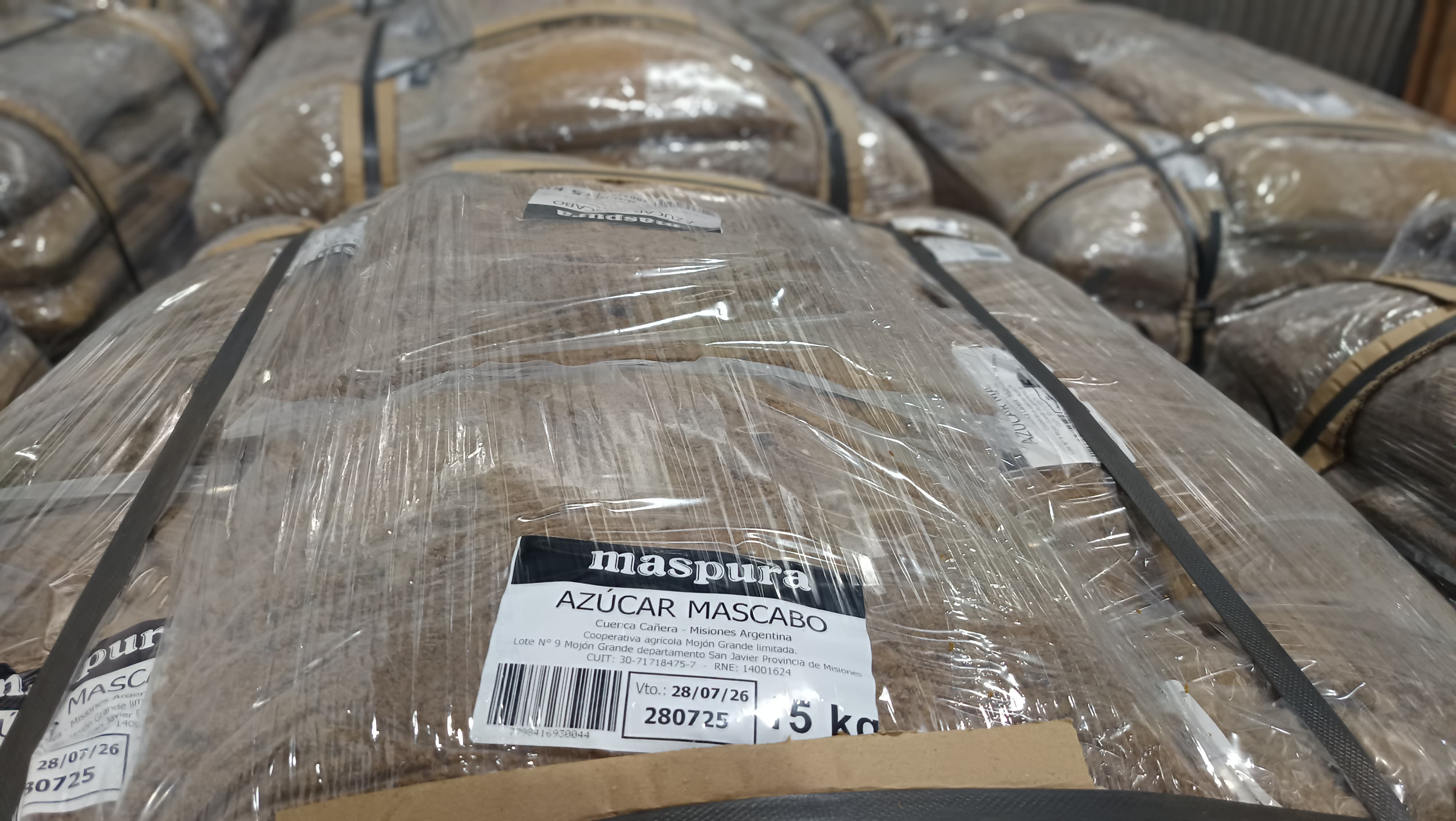 El mascabo misionero sigue en movimiento 02