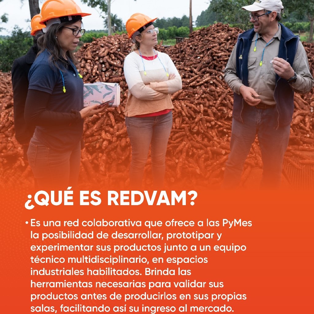 RedVAM una estrategia para impulsar la innovación alimentaria en la provincia