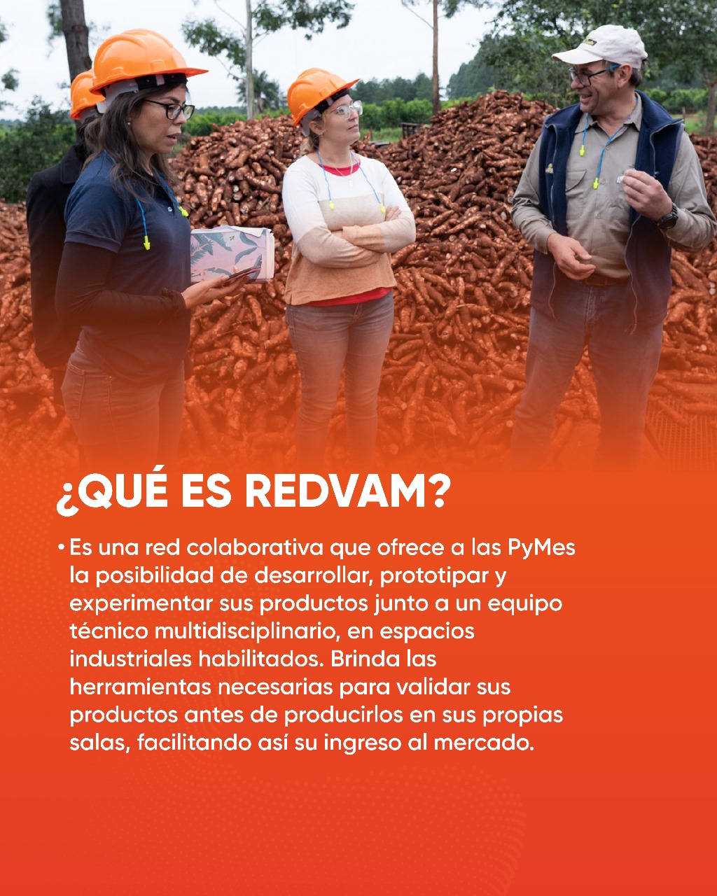 RedVAM una estrategia para impulsar la innovación alimentaria en la provincia